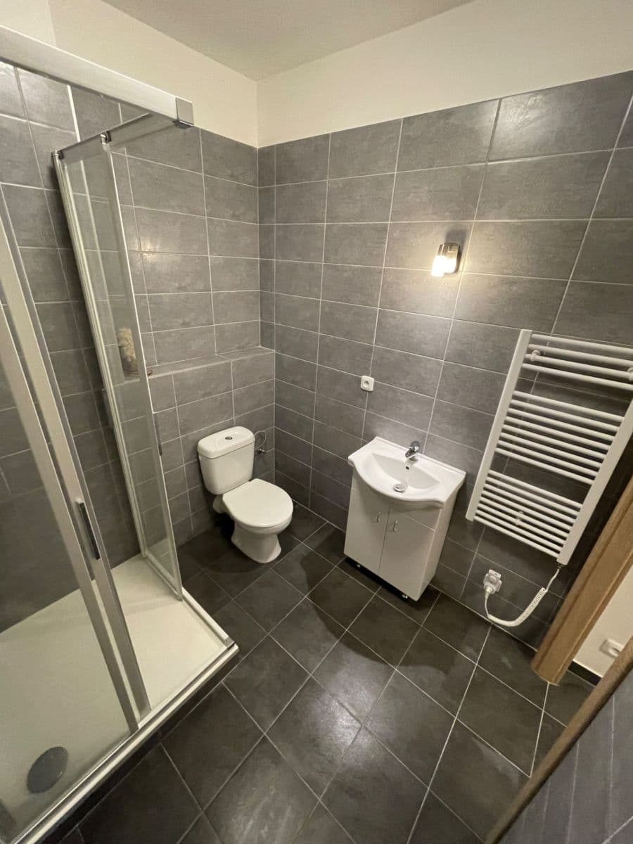 Pronájem bytu 1+kk 30 m², Ptice, Středočeský kraj Pronájem bytu 1+kk 30 m², Ptice, Středočeský kraj