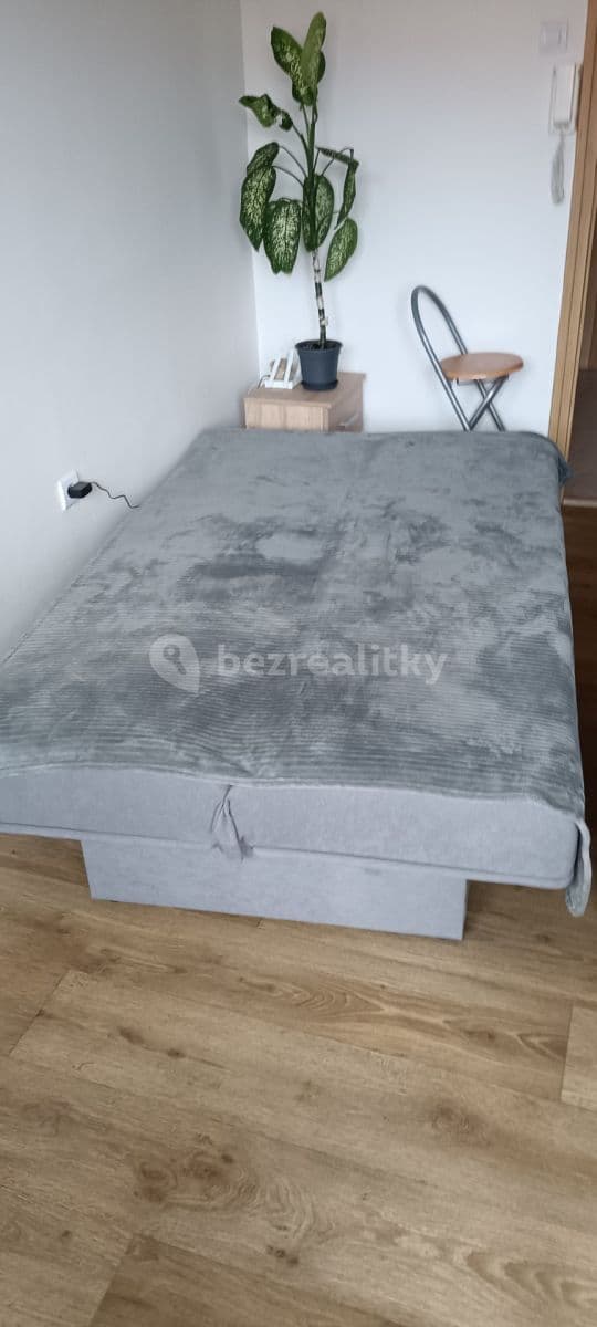 Pronájem bytu 1+1 31 m², Raisova, Prostějov, Olomoucký kraj Pronájem bytu 1+1 31 m², Raisova, Prostějov, Olomoucký kraj