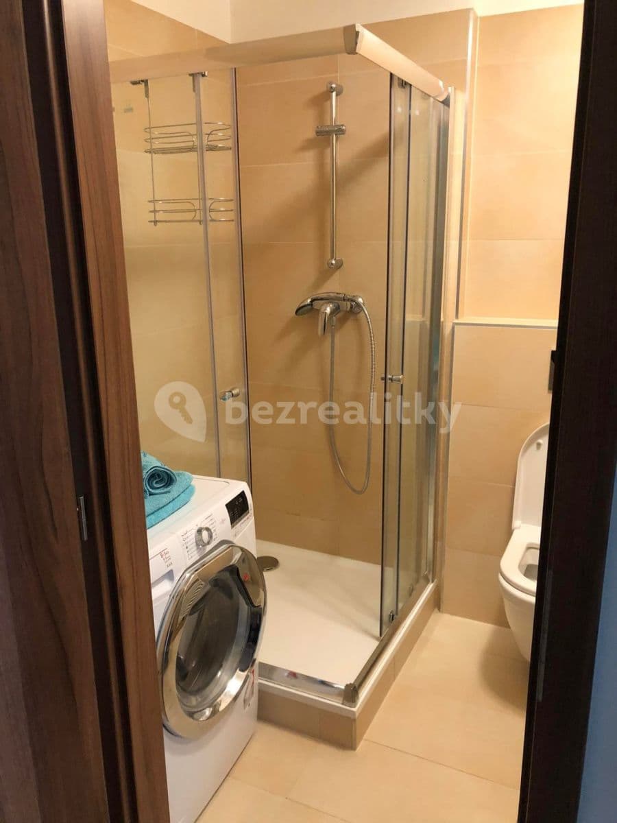 Pronájem bytu 1+kk 35 m², Nepomuckých, Praha, Praha Pronájem bytu 1+kk 35 m², Nepomuckých, Praha, Praha