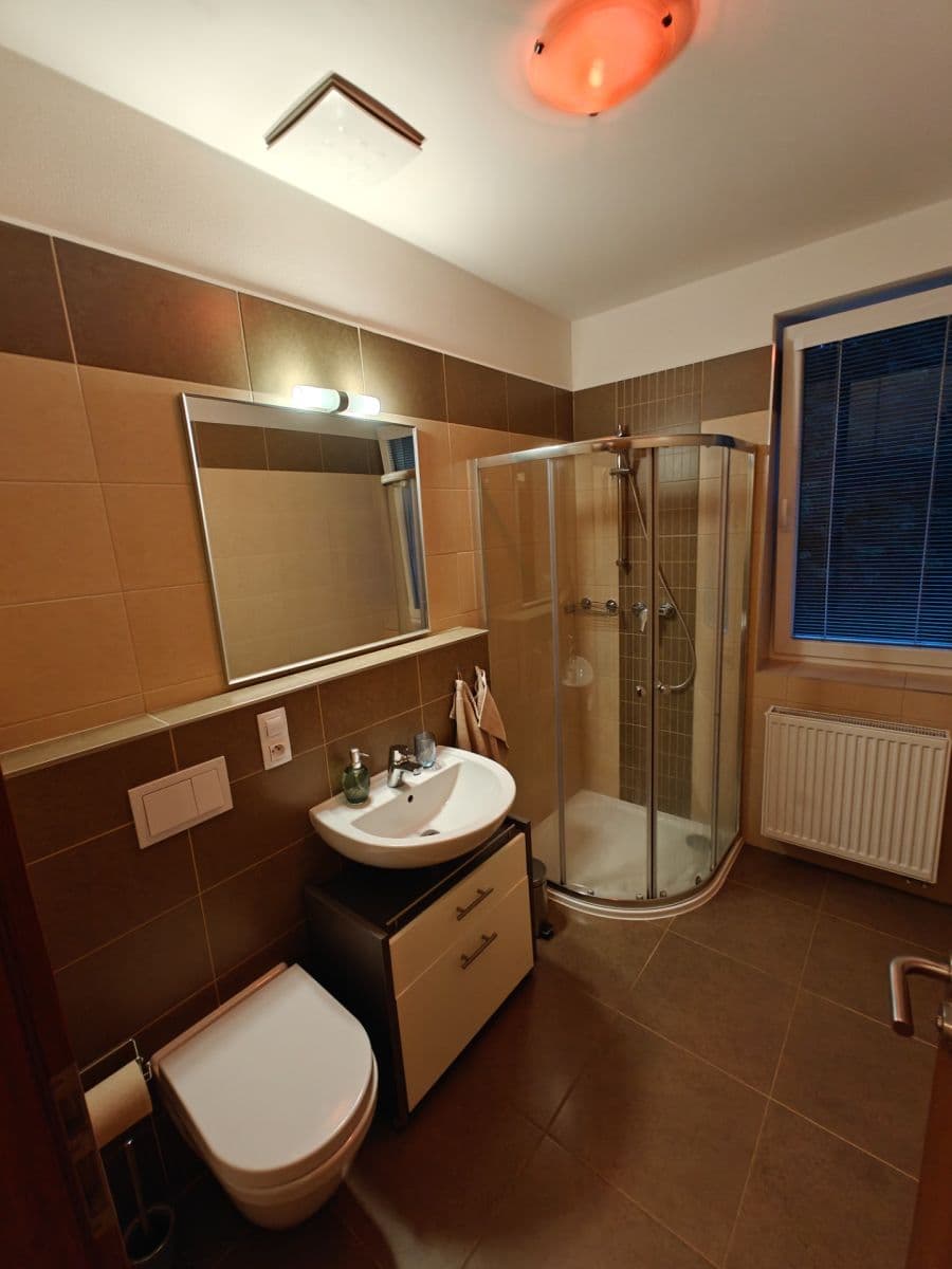 Pronájem bytu 1+kk 29 m², U Boru, České Budějovice, Jihočeský kraj Pronájem bytu 1+kk 29 m², U Boru, České Budějovice, Jihočeský kraj