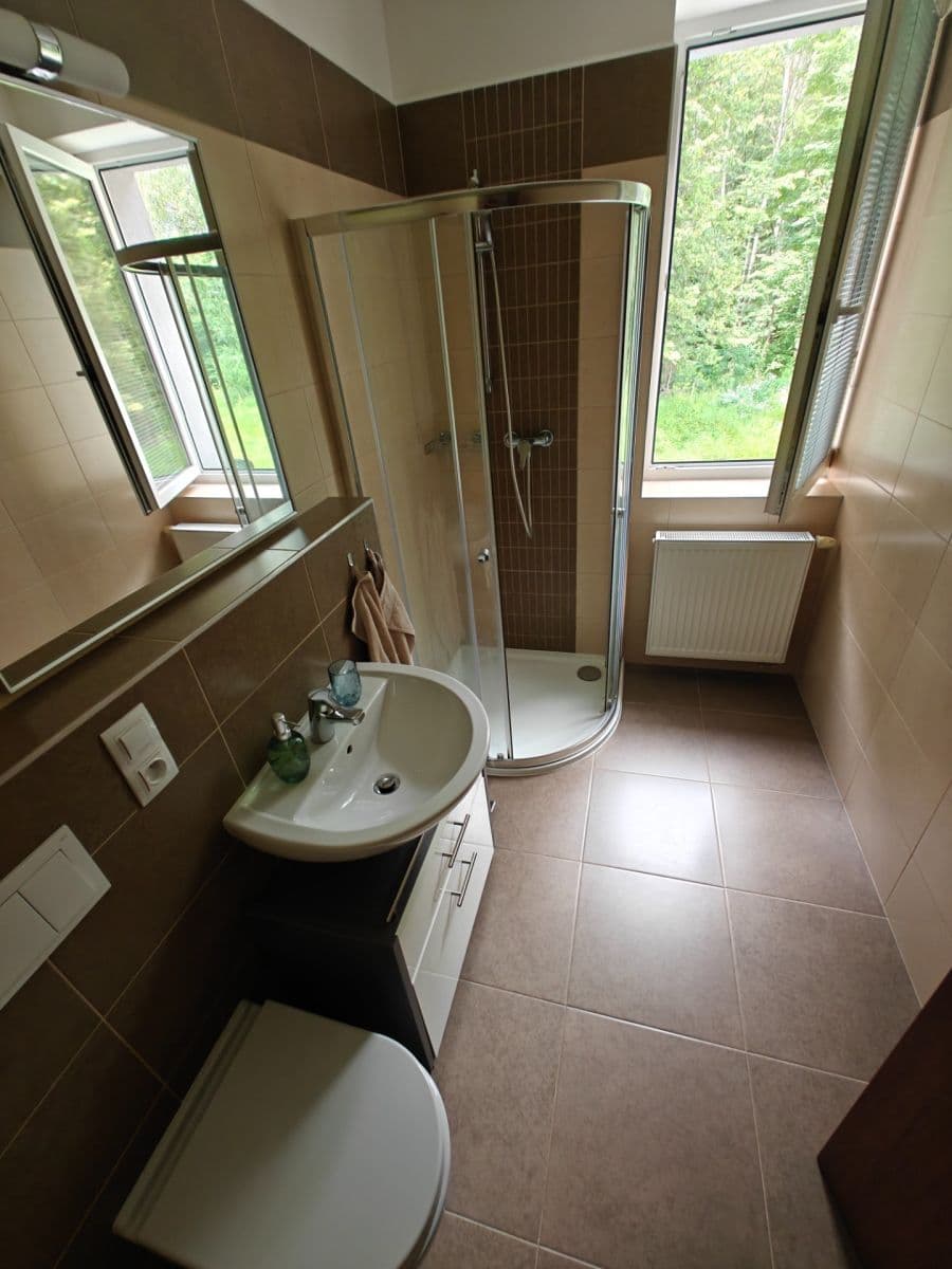 Pronájem bytu 1+kk 29 m², U Boru, České Budějovice, Jihočeský kraj Pronájem bytu 1+kk 29 m², U Boru, České Budějovice, Jihočeský kraj