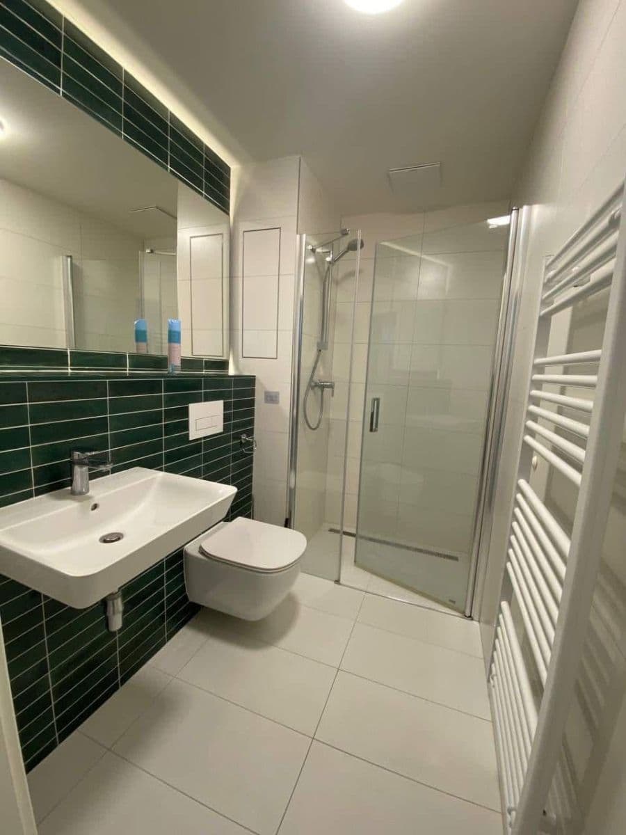 Pronájem bytu 1+kk 30 m², Bratislavská, Brno, Jihomoravský kraj Pronájem bytu 1+kk 30 m², Bratislavská, Brno, Jihomoravský kraj