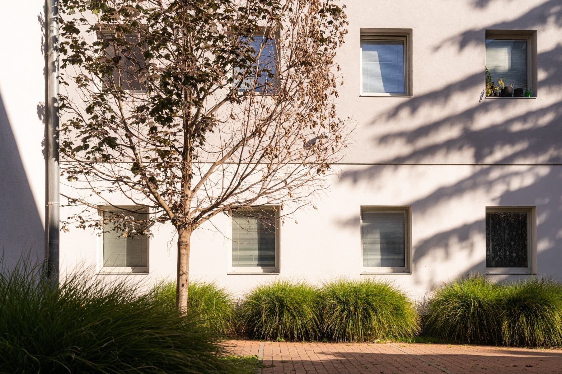 Pronájem bytu 1+1 24 m², Cejl, Brno, Jihomoravský kraj Pronájem bytu 1+1 24 m², Cejl, Brno, Jihomoravský kraj