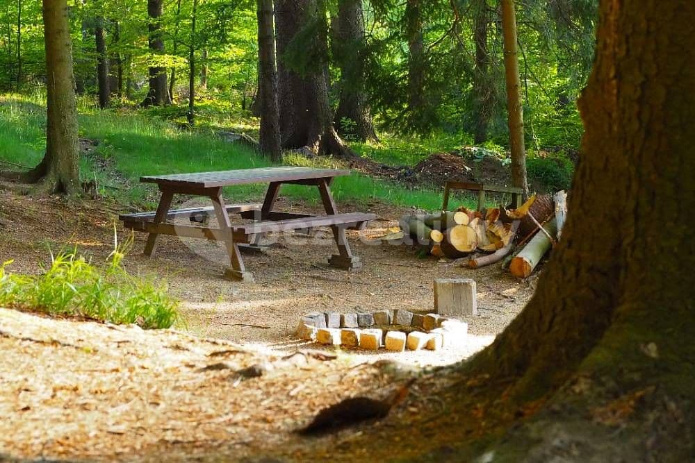 Pronájem chaty, chalupy, Kouty, Kraj Vysočina Pronájem chaty, chalupy, Kouty, Kraj Vysočina