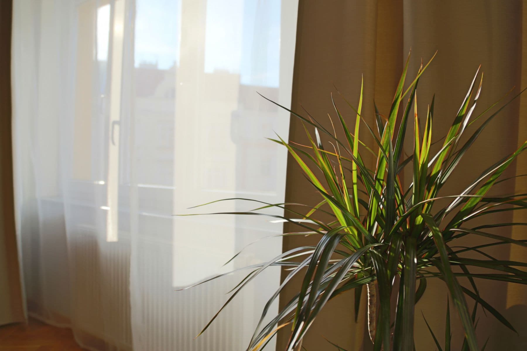 Pronájem bytu 65 m², Na Zbořenci, Praha, Praha Pronájem bytu 65 m², Na Zbořenci, Praha, Praha