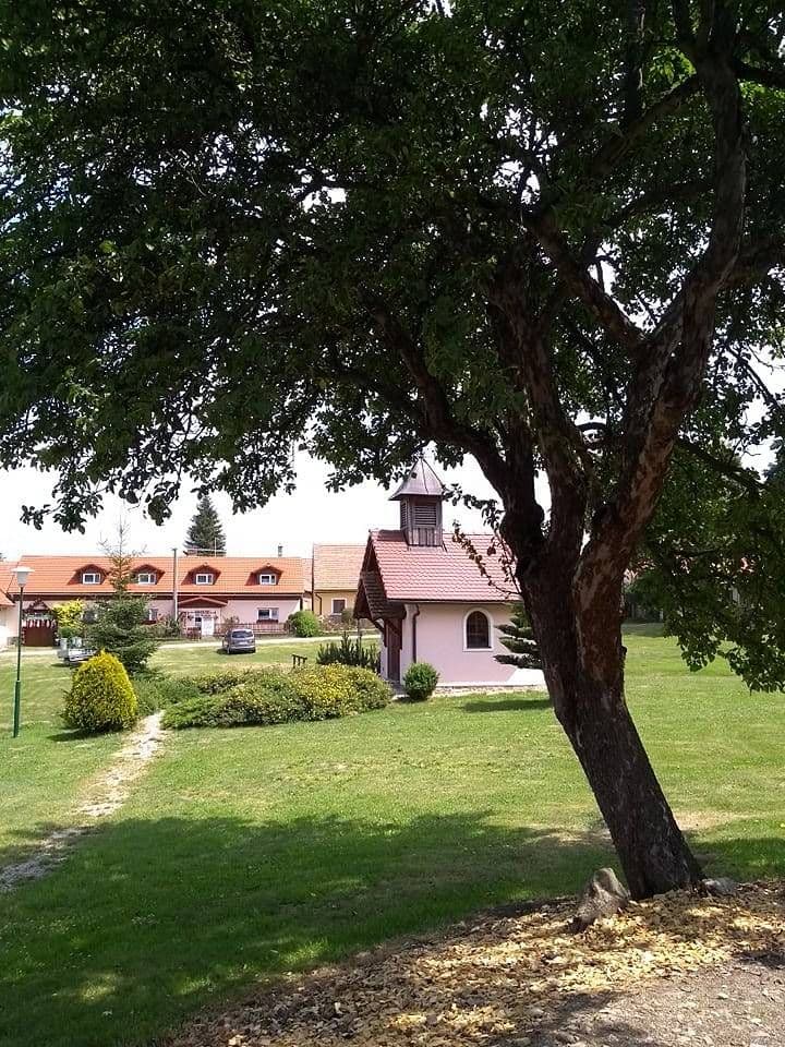 Pronájem chaty, chalupy, Buk, Jihočeský kraj Pronájem chaty, chalupy, Buk, Jihočeský kraj