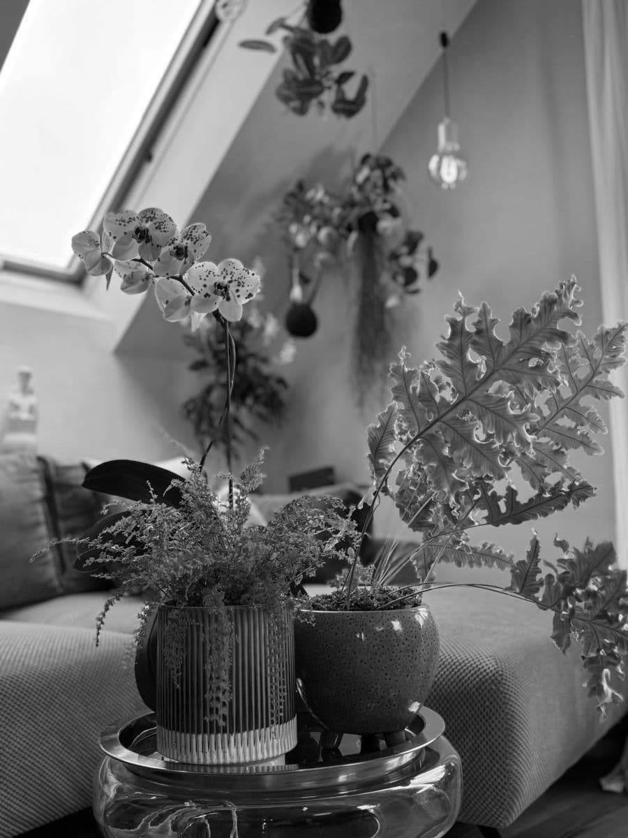 Prodej bytu 3+kk 66 m², Žiželická, Praha, Praha Prodej bytu 3+kk 66 m², Žiželická, Praha, Praha