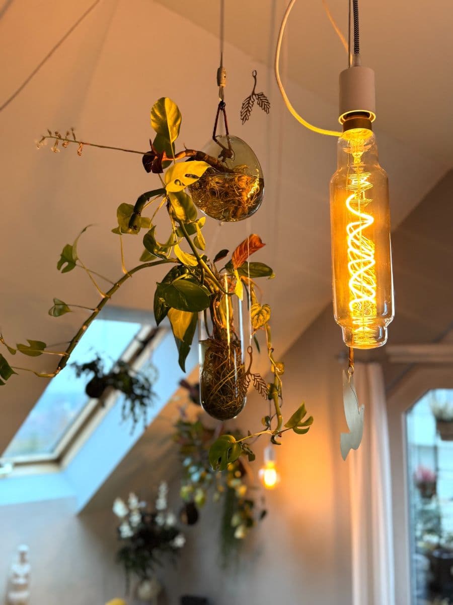 Prodej bytu 3+kk 66 m², Žiželická, Praha, Praha Prodej bytu 3+kk 66 m², Žiželická, Praha, Praha