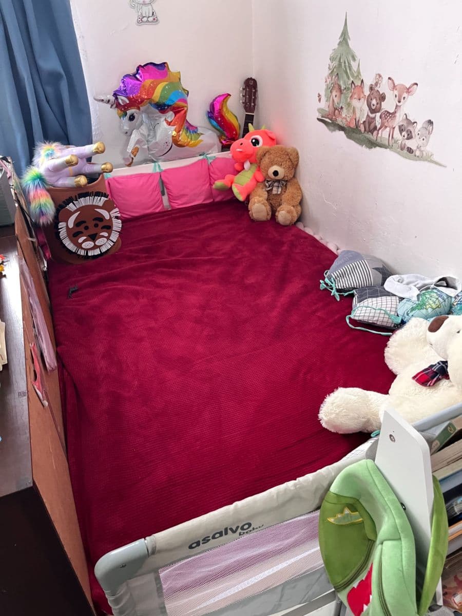 Pronájem domu 100 m², pozemek 200 m², Dudychova, Holice, Pardubický kraj Pronájem domu 100 m², pozemek 200 m², Dudychova, Holice, Pardubický kraj