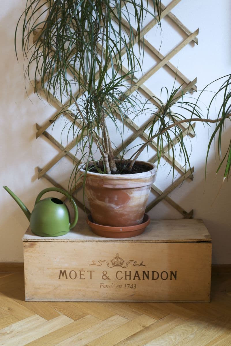 Pronájem bytu 50 m², Slavojova, Praha, Praha Pronájem bytu 50 m², Slavojova, Praha, Praha