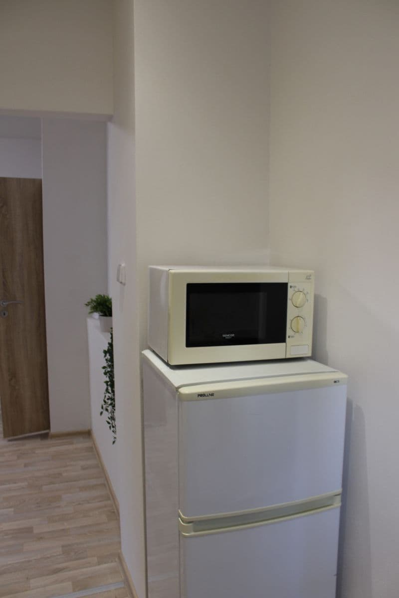 Pronájem bytu 43 m², Renneská třída, Brno, Jihomoravský kraj Pronájem bytu 43 m², Renneská třída, Brno, Jihomoravský kraj