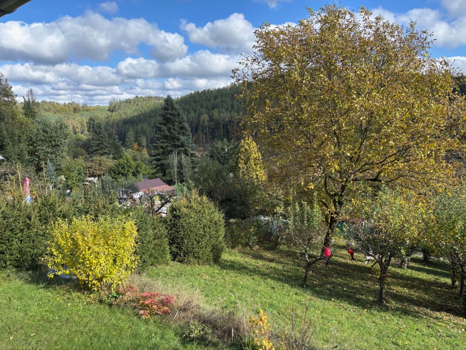 Prodej chaty, chalupy 55 m², pozemek 808 m², Jílové u Prahy, Středočeský kraj Prodej chaty, chalupy 55 m², pozemek 808 m², Jílové u Prahy, Středočeský kraj