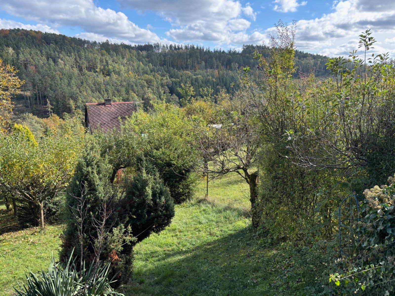 Prodej chaty, chalupy 55 m², pozemek 808 m², Jílové u Prahy, Středočeský kraj Prodej chaty, chalupy 55 m², pozemek 808 m², Jílové u Prahy, Středočeský kraj