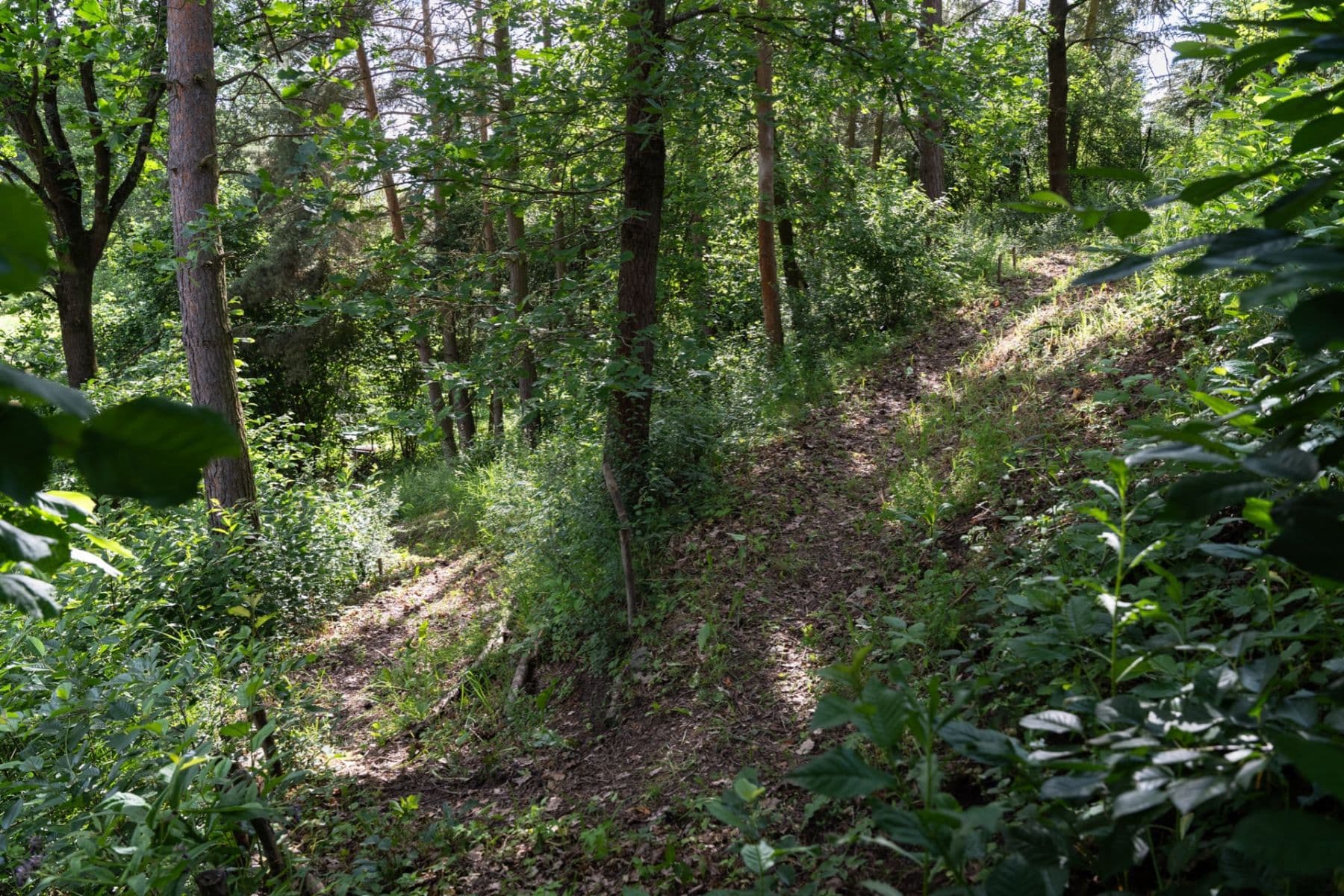 Prodej pozemku 2.522 m², Šemnice, Karlovarský kraj Prodej pozemku 2.522 m², Šemnice, Karlovarský kraj