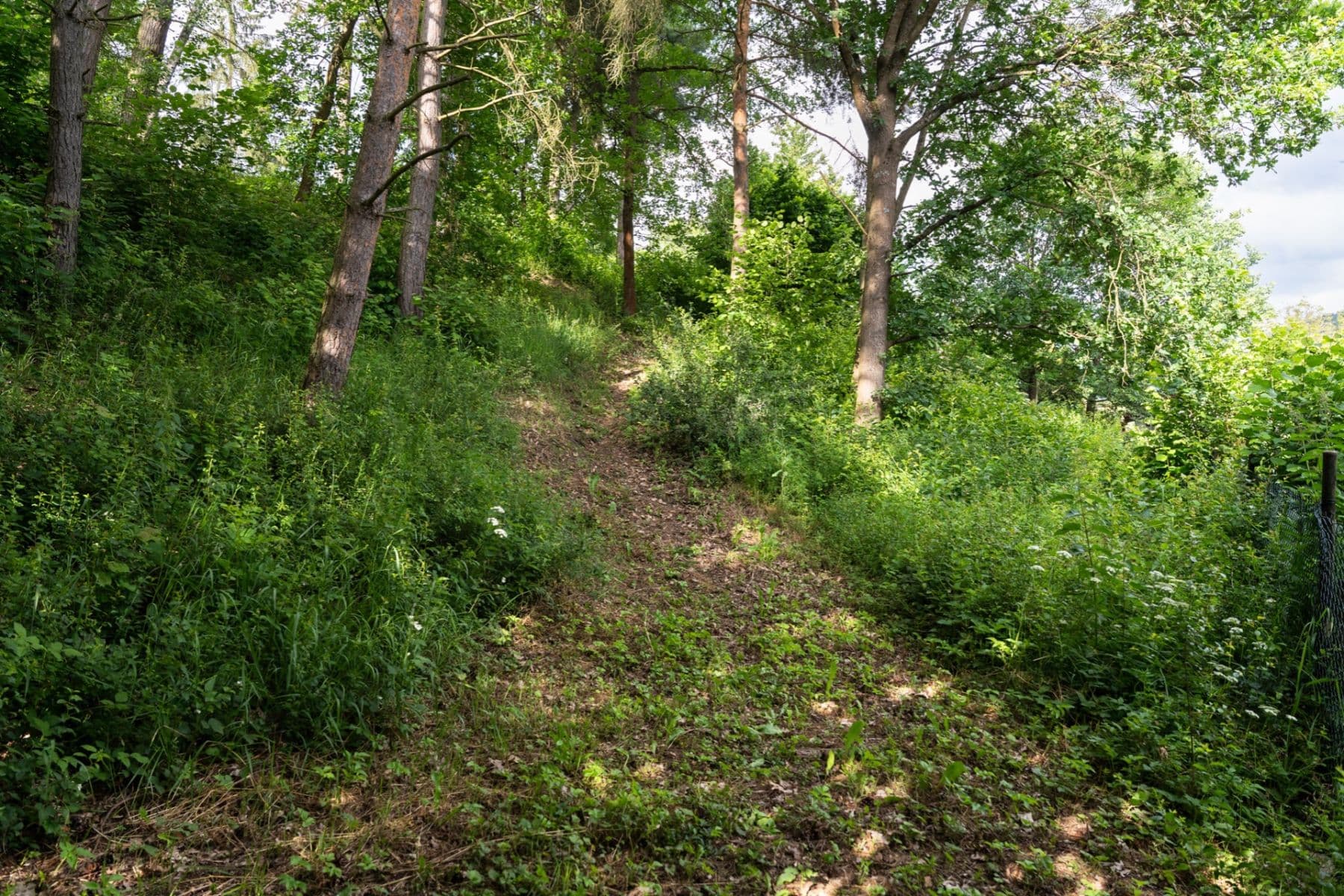 Prodej pozemku 2.522 m², Šemnice, Karlovarský kraj Prodej pozemku 2.522 m², Šemnice, Karlovarský kraj