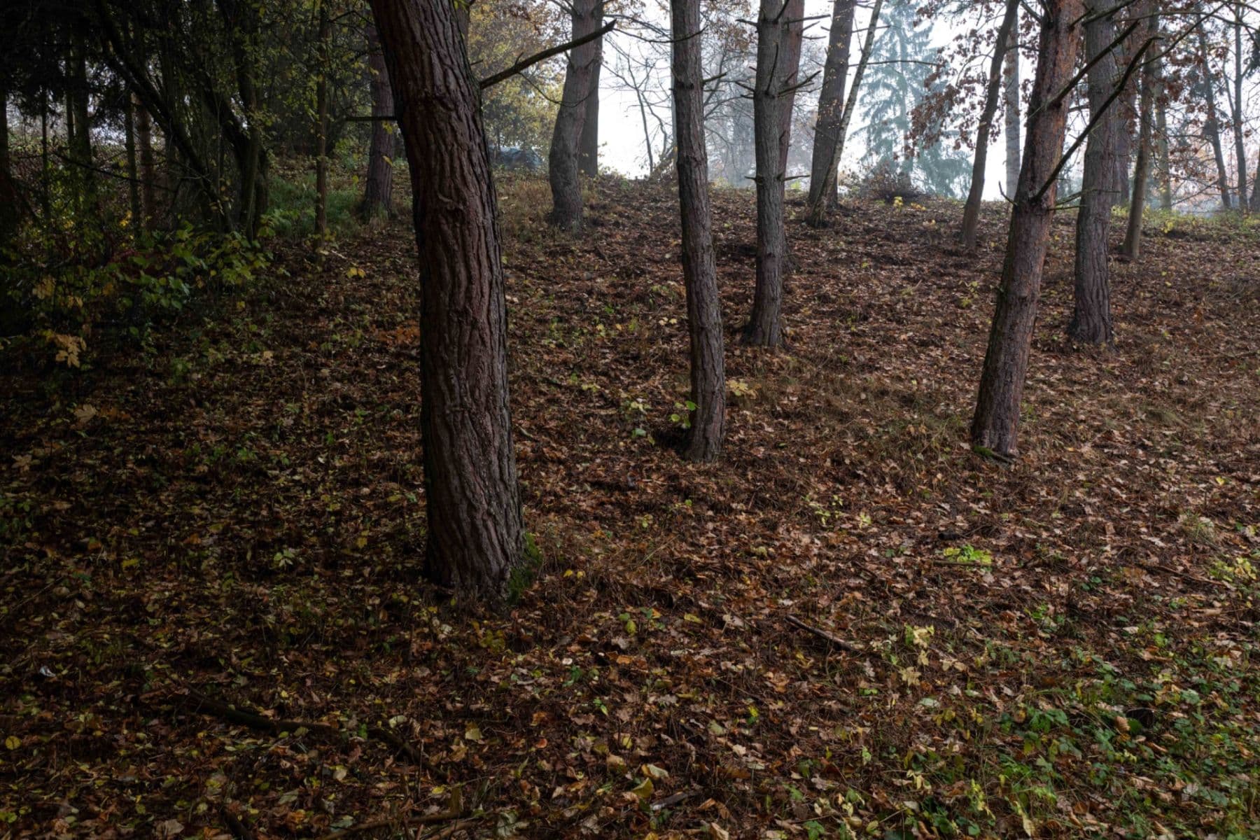 Prodej pozemku 2.522 m², Šemnice, Karlovarský kraj Prodej pozemku 2.522 m², Šemnice, Karlovarský kraj