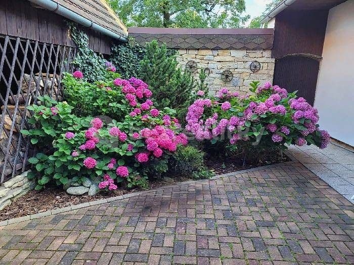 Pronájem chaty, chalupy, Javorník, Pardubický kraj Pronájem chaty, chalupy, Javorník, Pardubický kraj