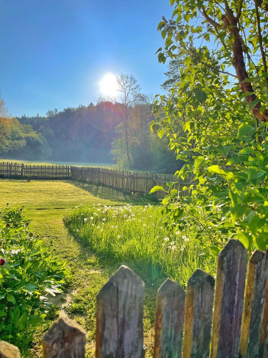 Pronájem chaty, chalupy, Rohle, Olomoucký kraj Pronájem chaty, chalupy, Rohle, Olomoucký kraj