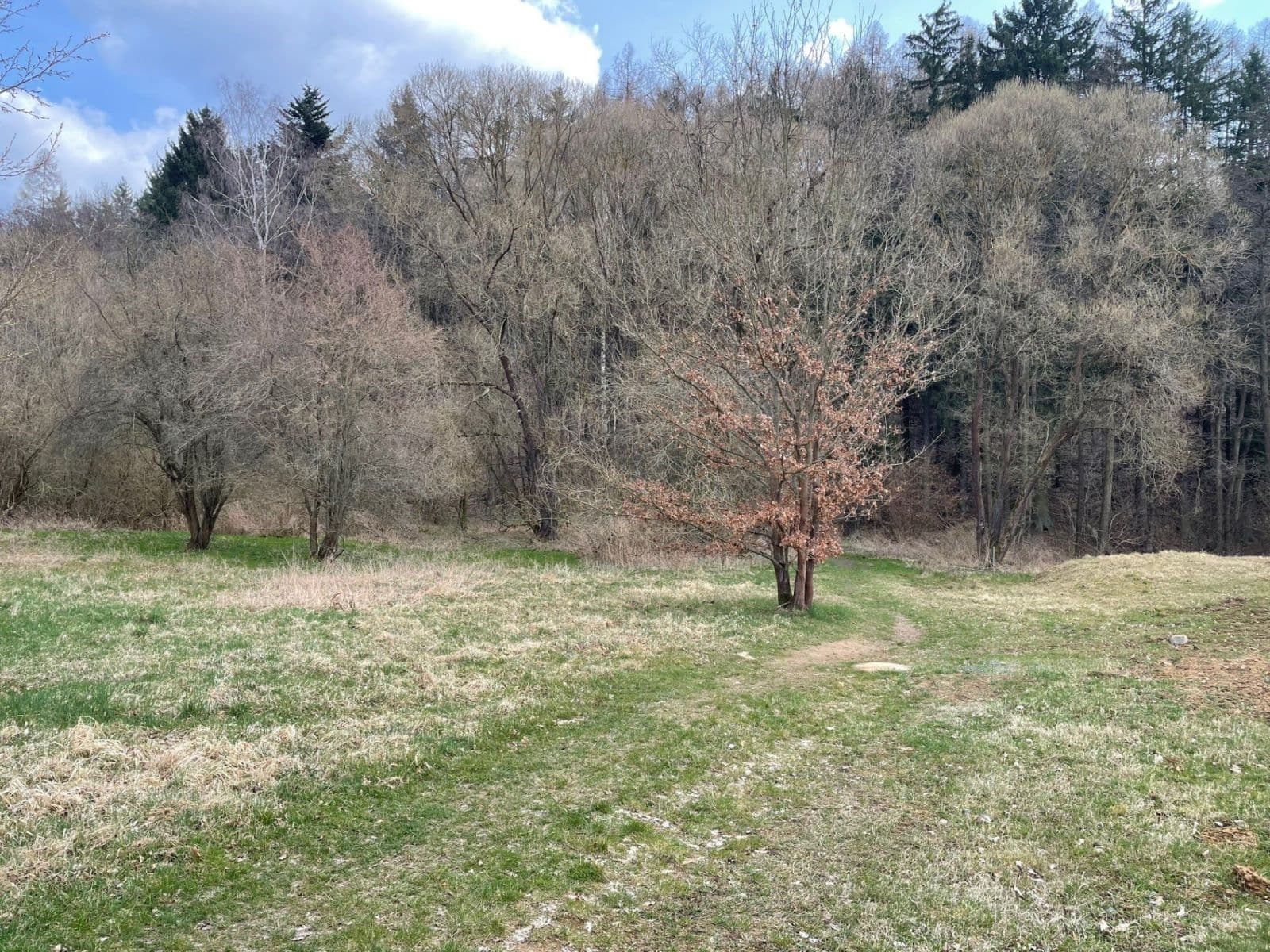 Prodej pozemku 4.987 m², Mnichovice, Středočeský kraj Prodej pozemku 4.987 m², Mnichovice, Středočeský kraj