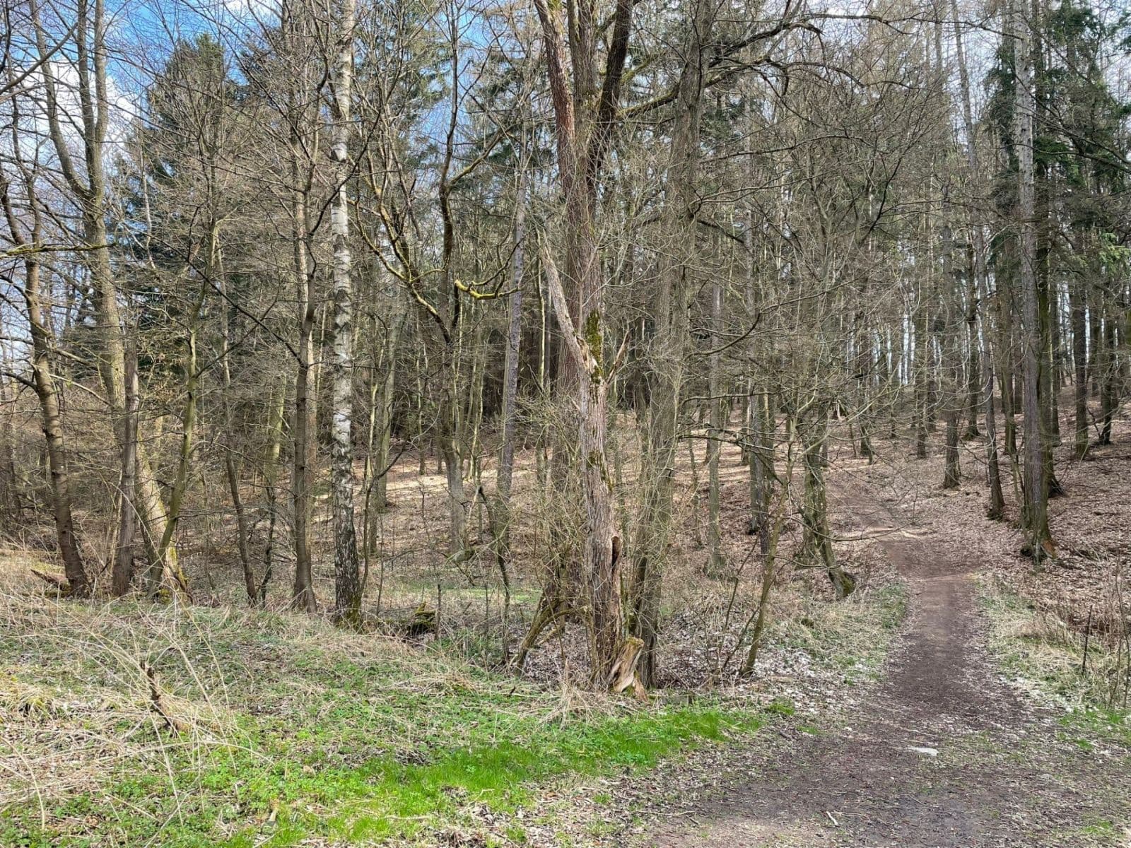 Prodej pozemku 4.987 m², Mnichovice, Středočeský kraj Prodej pozemku 4.987 m², Mnichovice, Středočeský kraj