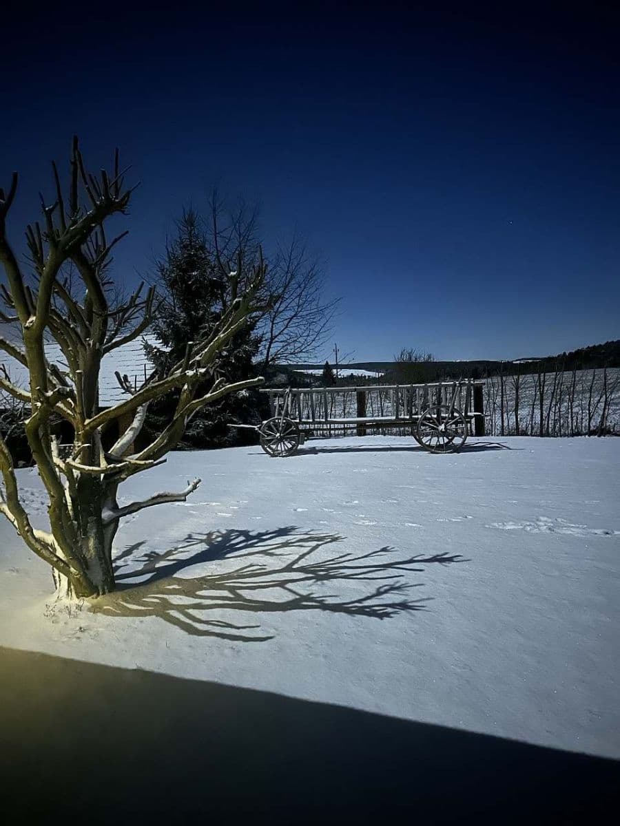 Pronájem chaty, chalupy, Dolní Hradiště, Plzeňský kraj Pronájem chaty, chalupy, Dolní Hradiště, Plzeňský kraj