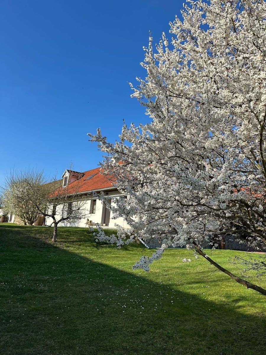 Pronájem chaty, chalupy, Dolní Hradiště, Plzeňský kraj Pronájem chaty, chalupy, Dolní Hradiště, Plzeňský kraj