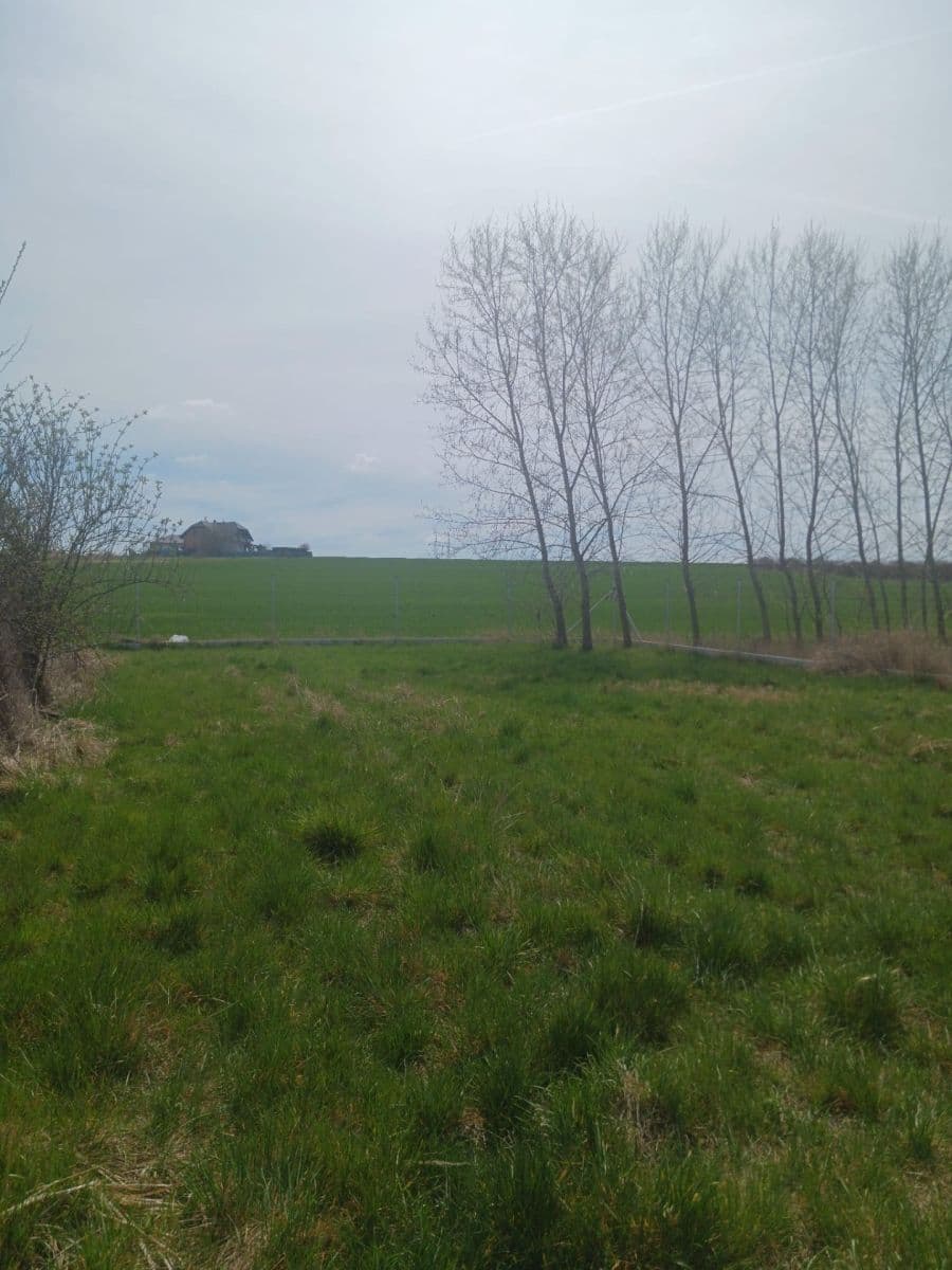 Prodej pozemku 800 m², Bavoryně, Středočeský kraj Prodej pozemku 800 m², Bavoryně, Středočeský kraj