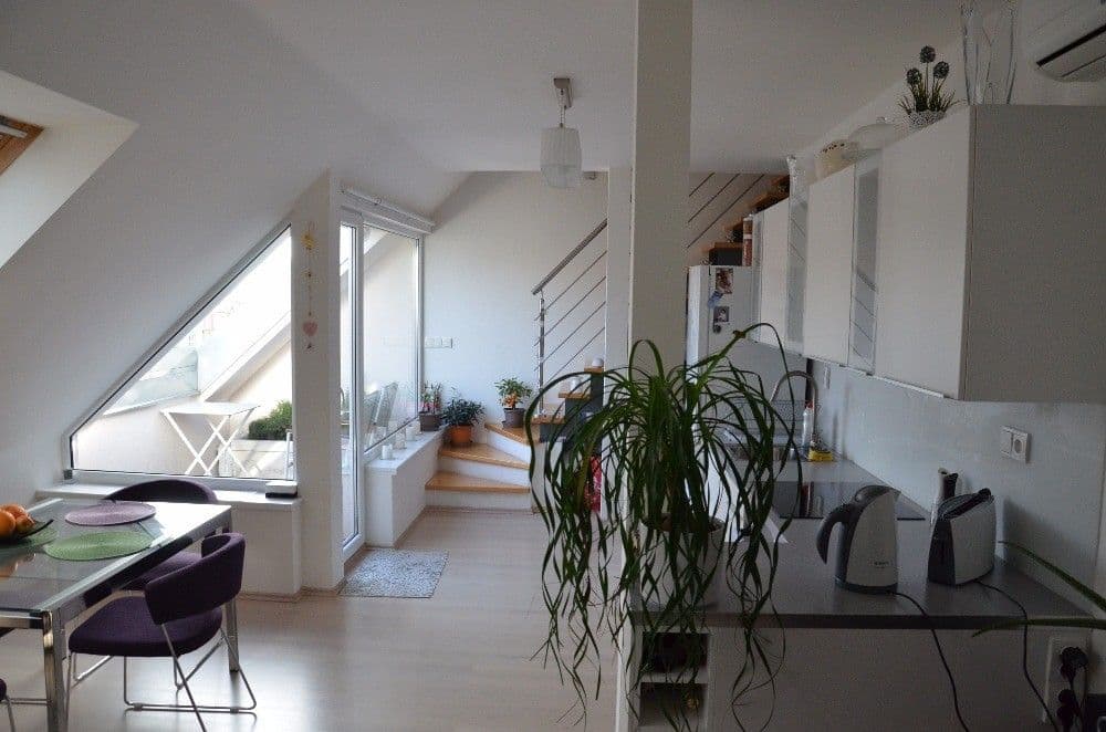 Pronájem bytu 2+kk 54 m², Kounicova, Brno, Jihomoravský kraj Pronájem bytu 2+kk 54 m², Kounicova, Brno, Jihomoravský kraj