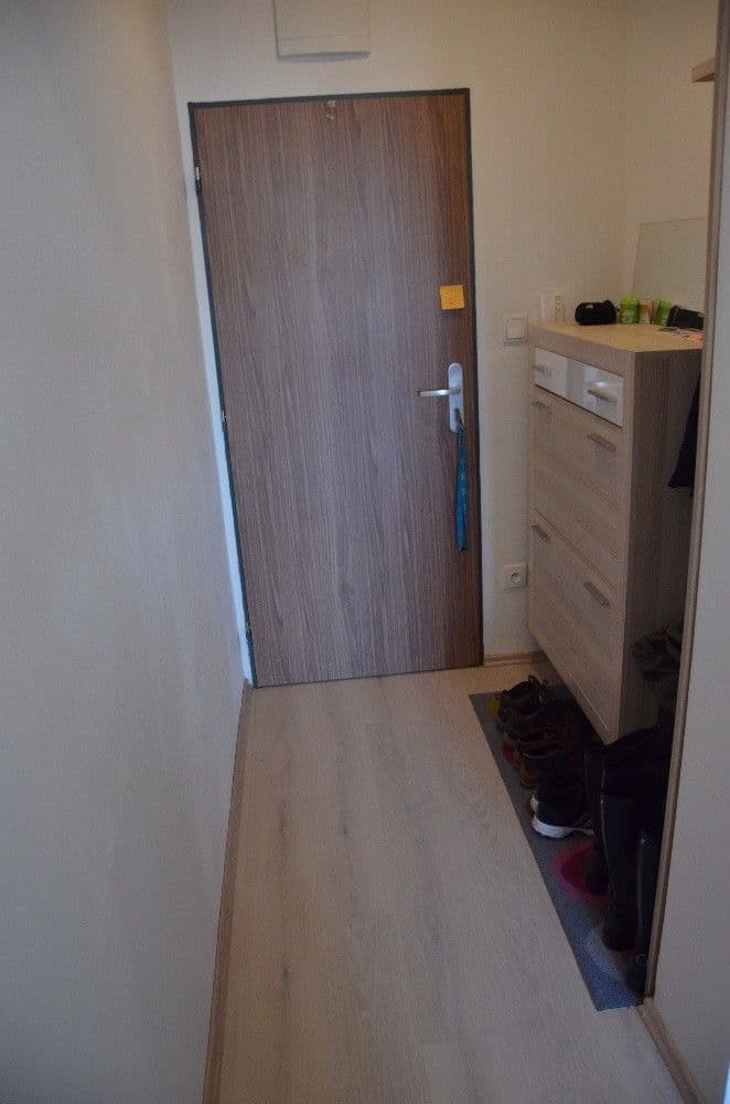 Pronájem bytu 2+kk 54 m², Kounicova, Brno, Jihomoravský kraj Pronájem bytu 2+kk 54 m², Kounicova, Brno, Jihomoravský kraj