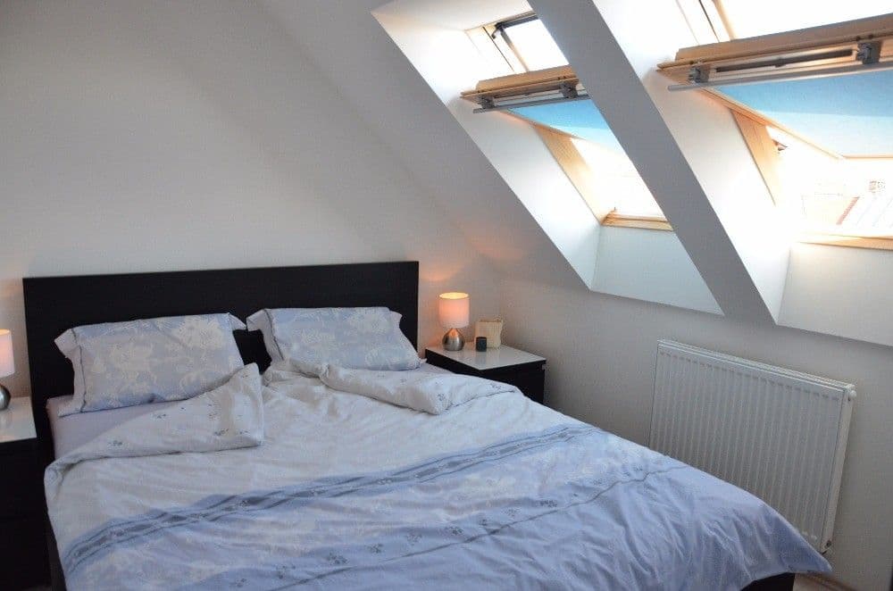 Pronájem bytu 2+kk 54 m², Kounicova, Brno, Jihomoravský kraj Pronájem bytu 2+kk 54 m², Kounicova, Brno, Jihomoravský kraj