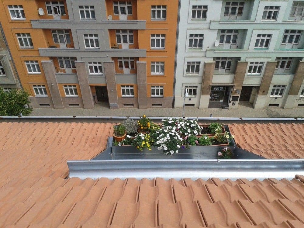 Pronájem bytu 2+kk 54 m², Kounicova, Brno, Jihomoravský kraj Pronájem bytu 2+kk 54 m², Kounicova, Brno, Jihomoravský kraj