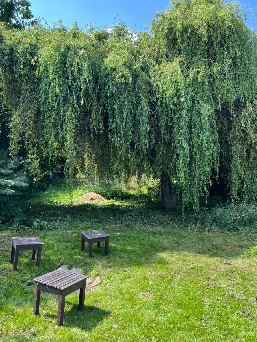 Prodej domu 226 m², pozemek 1.000 m², Štíhlice, Středočeský kraj Prodej domu 226 m², pozemek 1.000 m², Štíhlice, Středočeský kraj