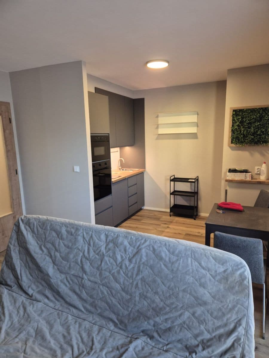 Pronájem bytu 2+kk 30 m², Křižíkova, Praha, Praha Pronájem bytu 2+kk 30 m², Křižíkova, Praha, Praha