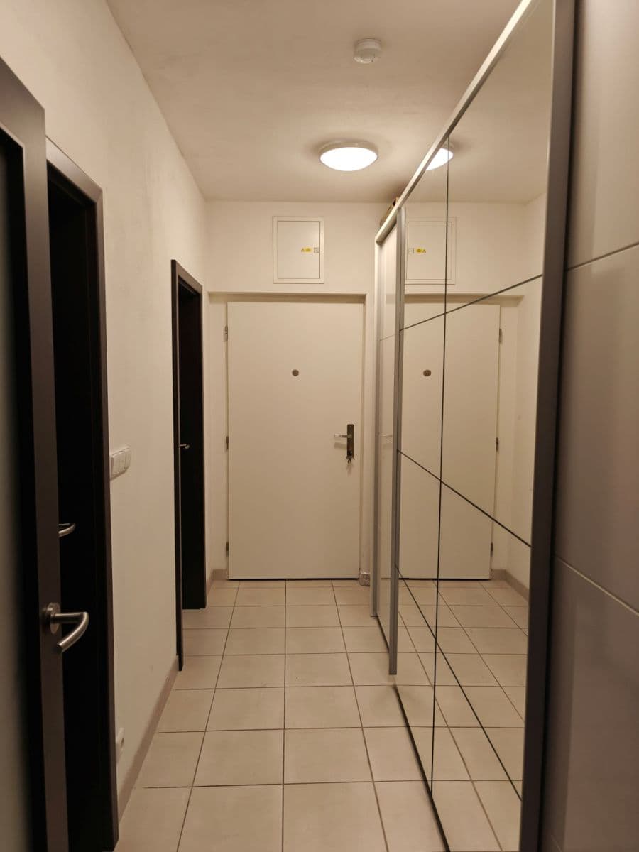 Pronájem bytu 1+kk 45 m², Božetěchova, Brno, Jihomoravský kraj Pronájem bytu 1+kk 45 m², Božetěchova, Brno, Jihomoravský kraj