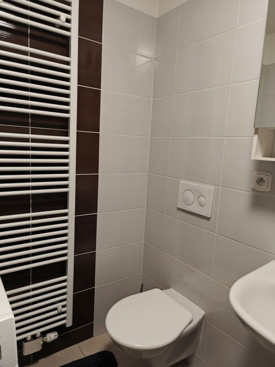 Pronájem bytu 1+kk 45 m², Božetěchova, Brno, Jihomoravský kraj Pronájem bytu 1+kk 45 m², Božetěchova, Brno, Jihomoravský kraj