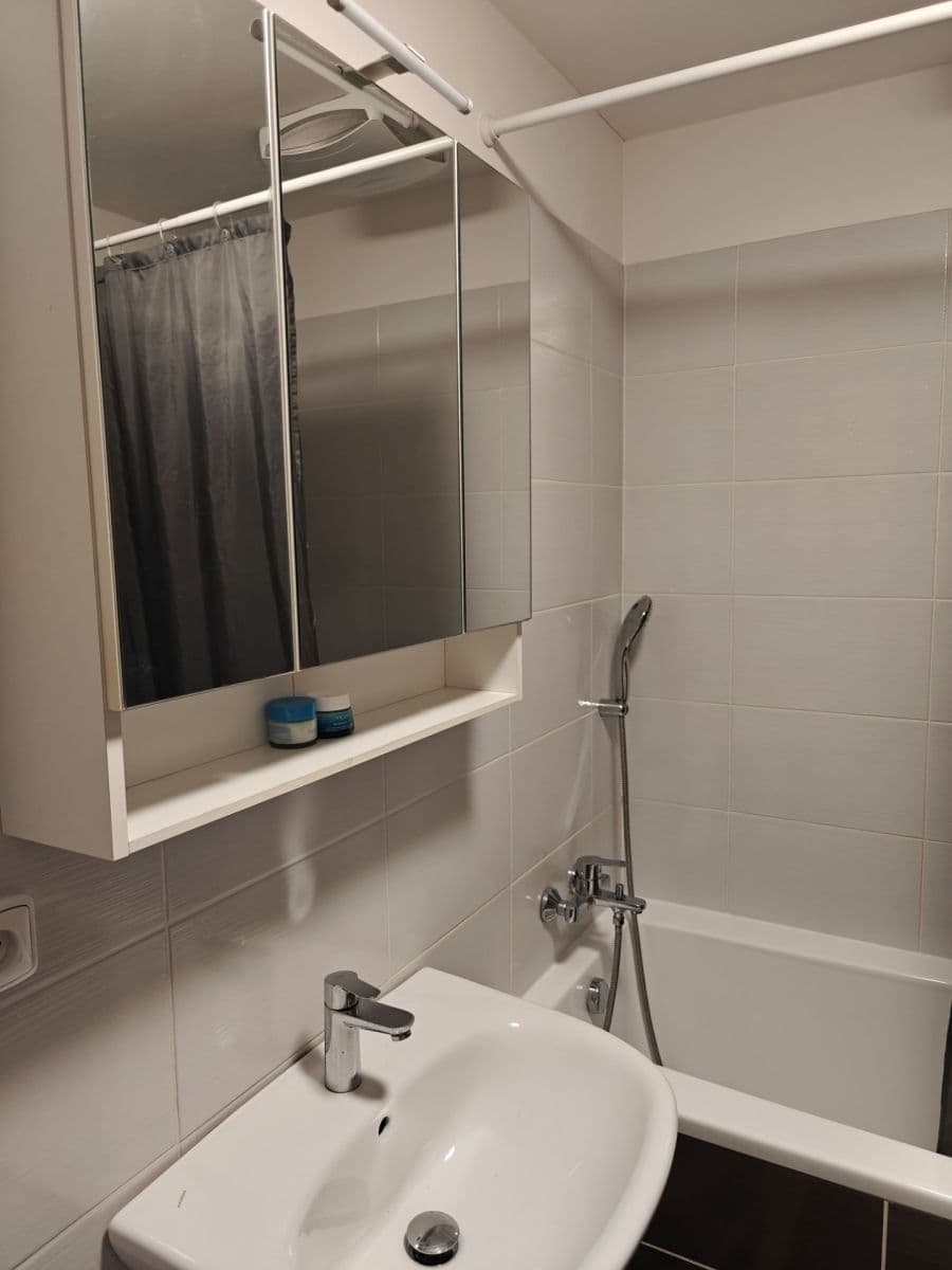 Pronájem bytu 1+kk 45 m², Božetěchova, Brno, Jihomoravský kraj Pronájem bytu 1+kk 45 m², Božetěchova, Brno, Jihomoravský kraj