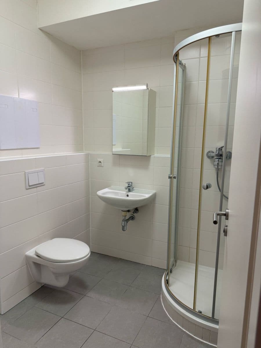 Pronájem bytu 1+kk 38 m², Olgy Havlové, Praha, Praha Pronájem bytu 1+kk 38 m², Olgy Havlové, Praha, Praha