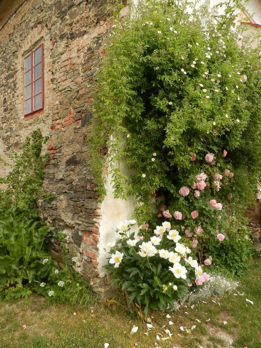 Pronájem chaty, chalupy, Hlohovice, Plzeňský kraj Pronájem chaty, chalupy, Hlohovice, Plzeňský kraj