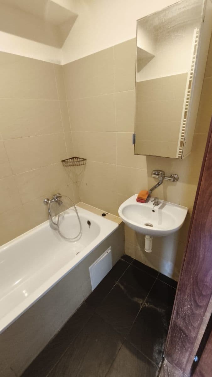 Pronájem bytu 1+1 45 m², Puškinova, Prostějov, Olomoucký kraj Pronájem bytu 1+1 45 m², Puškinova, Prostějov, Olomoucký kraj