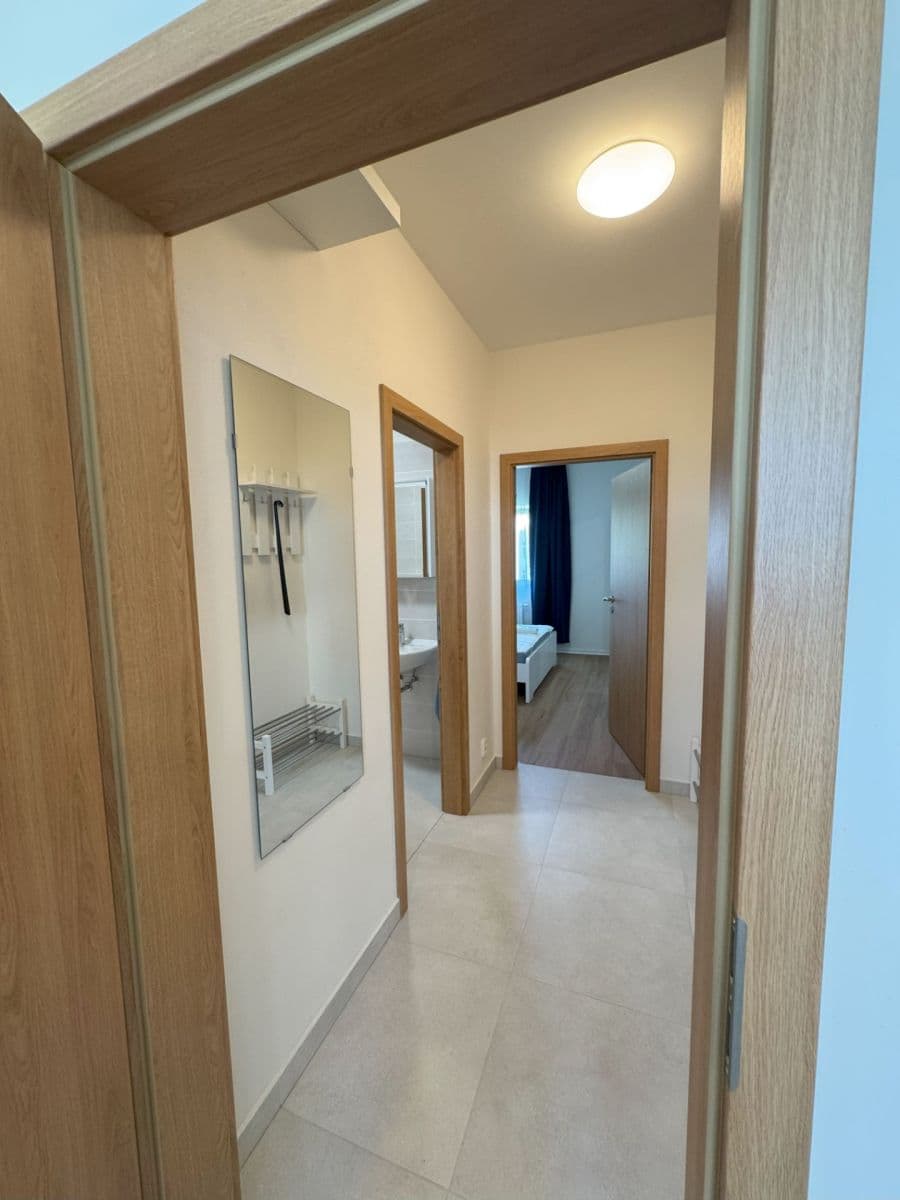 Pronájem bytu 2+kk 55 m², Hřímalého, Plzeň, Plzeňský kraj Pronájem bytu 2+kk 55 m², Hřímalého, Plzeň, Plzeňský kraj