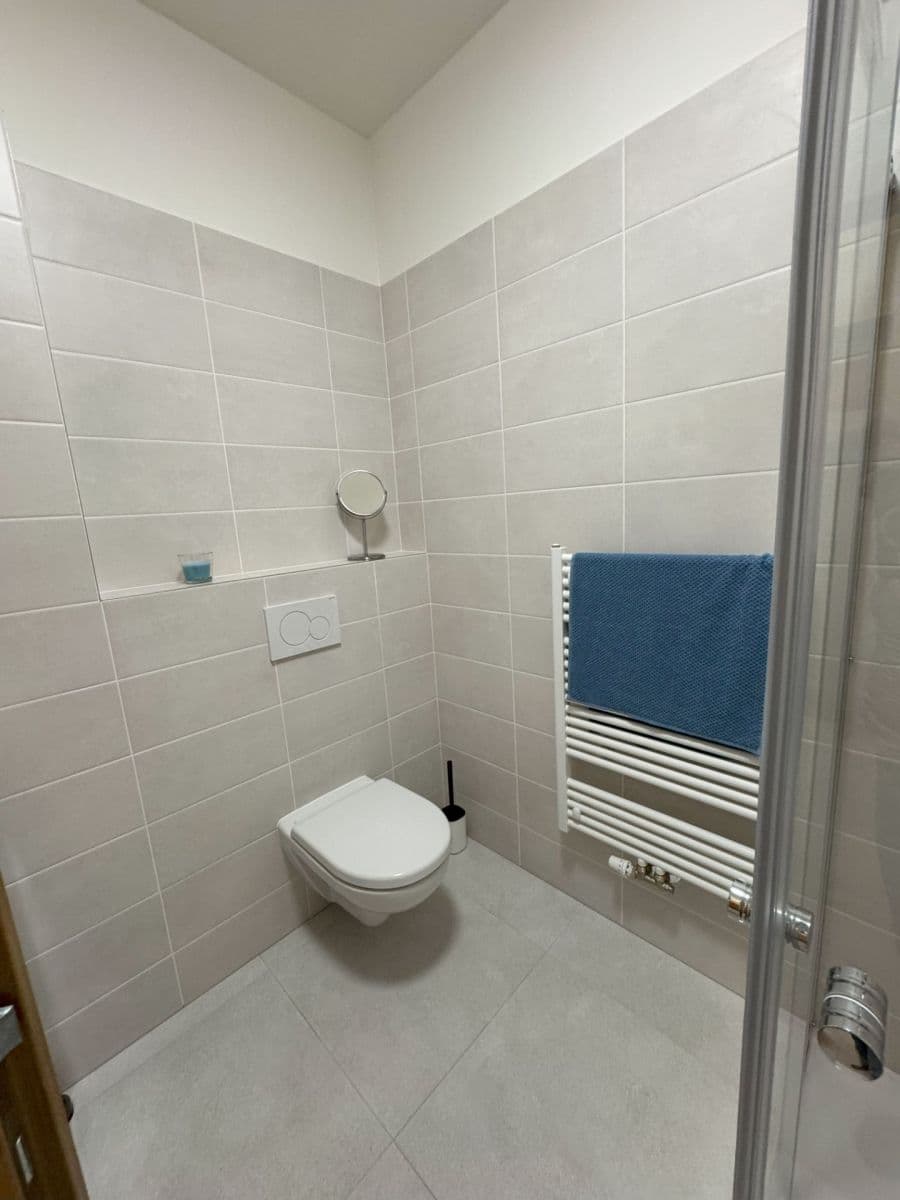 Pronájem bytu 2+kk 55 m², Hřímalého, Plzeň, Plzeňský kraj Pronájem bytu 2+kk 55 m², Hřímalého, Plzeň, Plzeňský kraj