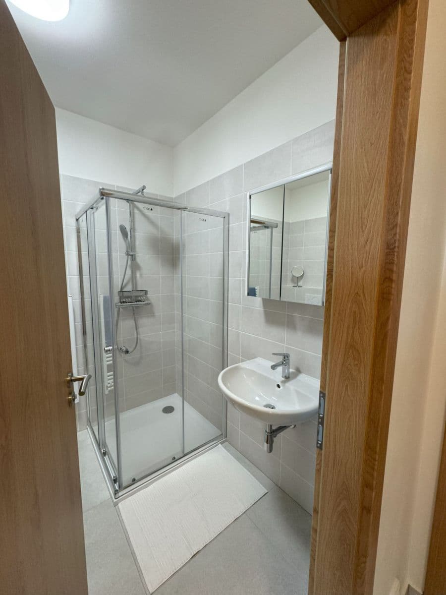 Pronájem bytu 2+kk 55 m², Hřímalého, Plzeň, Plzeňský kraj Pronájem bytu 2+kk 55 m², Hřímalého, Plzeň, Plzeňský kraj