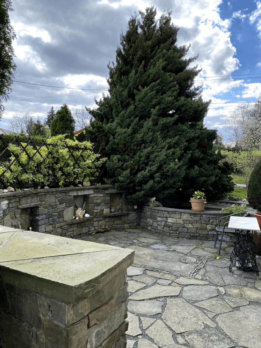 Prodej domu 230 m², pozemek 758 m², Hnojník, Moravskoslezský kraj Prodej domu 230 m², pozemek 758 m², Hnojník, Moravskoslezský kraj