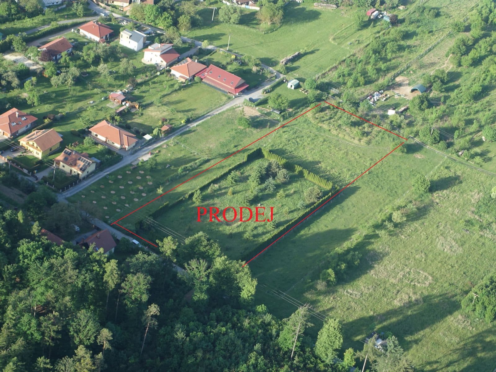 Prodej pozemku 10.000 m², Babice nad Svitavou, Jihomoravský kraj Prodej pozemku 10.000 m², Babice nad Svitavou, Jihomoravský kraj