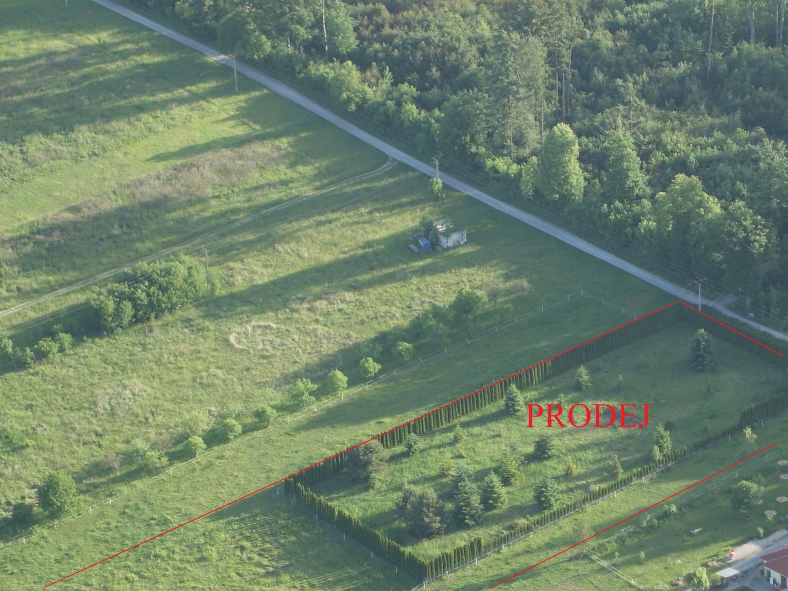 Prodej pozemku 10.000 m², Babice nad Svitavou, Jihomoravský kraj Prodej pozemku 10.000 m², Babice nad Svitavou, Jihomoravský kraj