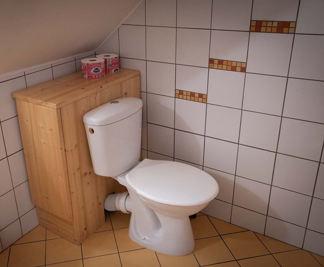 Pronájem chaty, chalupy, Červená Voda, Pardubický kraj Pronájem chaty, chalupy, Červená Voda, Pardubický kraj