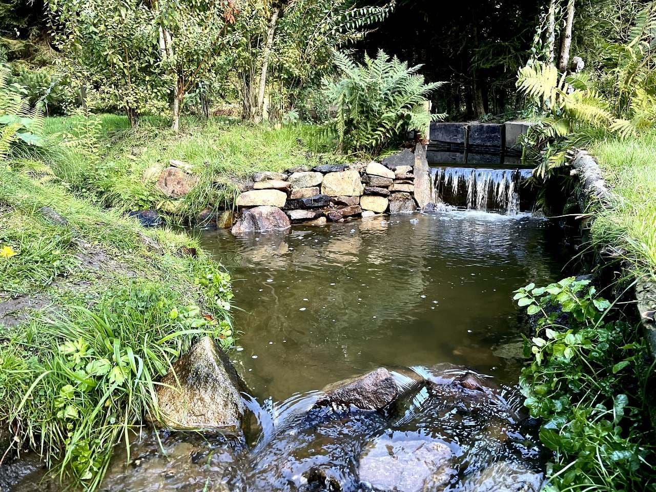 Pronájem chaty, chalupy, Vyskytná nad Jihlavou, Kraj Vysočina Pronájem chaty, chalupy, Vyskytná nad Jihlavou, Kraj Vysočina