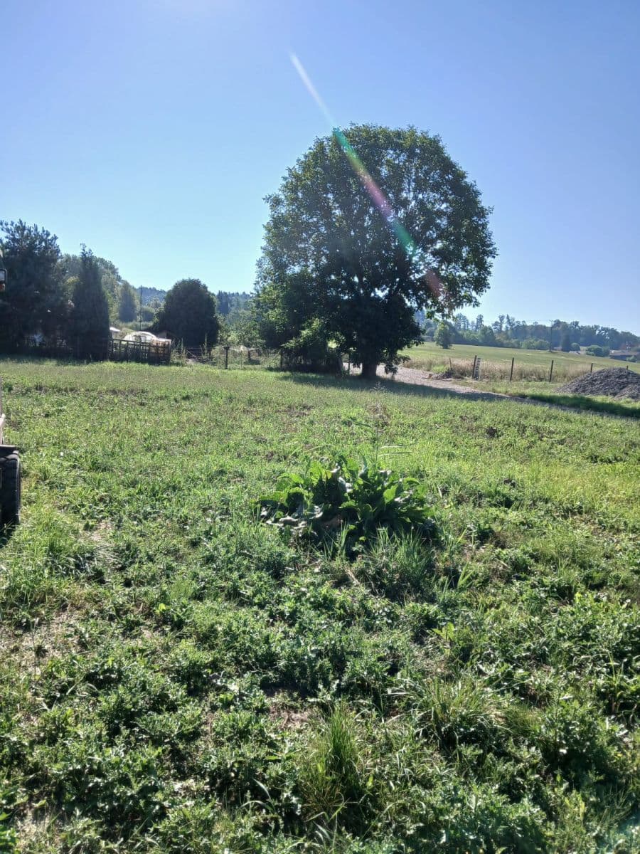 Prodej pozemku 865 m², Rychnov nad Kněžnou, Královéhradecký kraj Prodej pozemku 865 m², Rychnov nad Kněžnou, Královéhradecký kraj