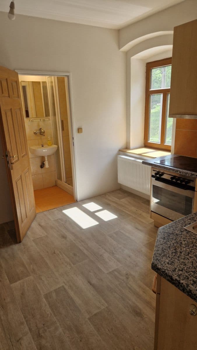 Pronájem bytu 1+1 45 m², Dubá, Liberecký kraj Pronájem bytu 1+1 45 m², Dubá, Liberecký kraj