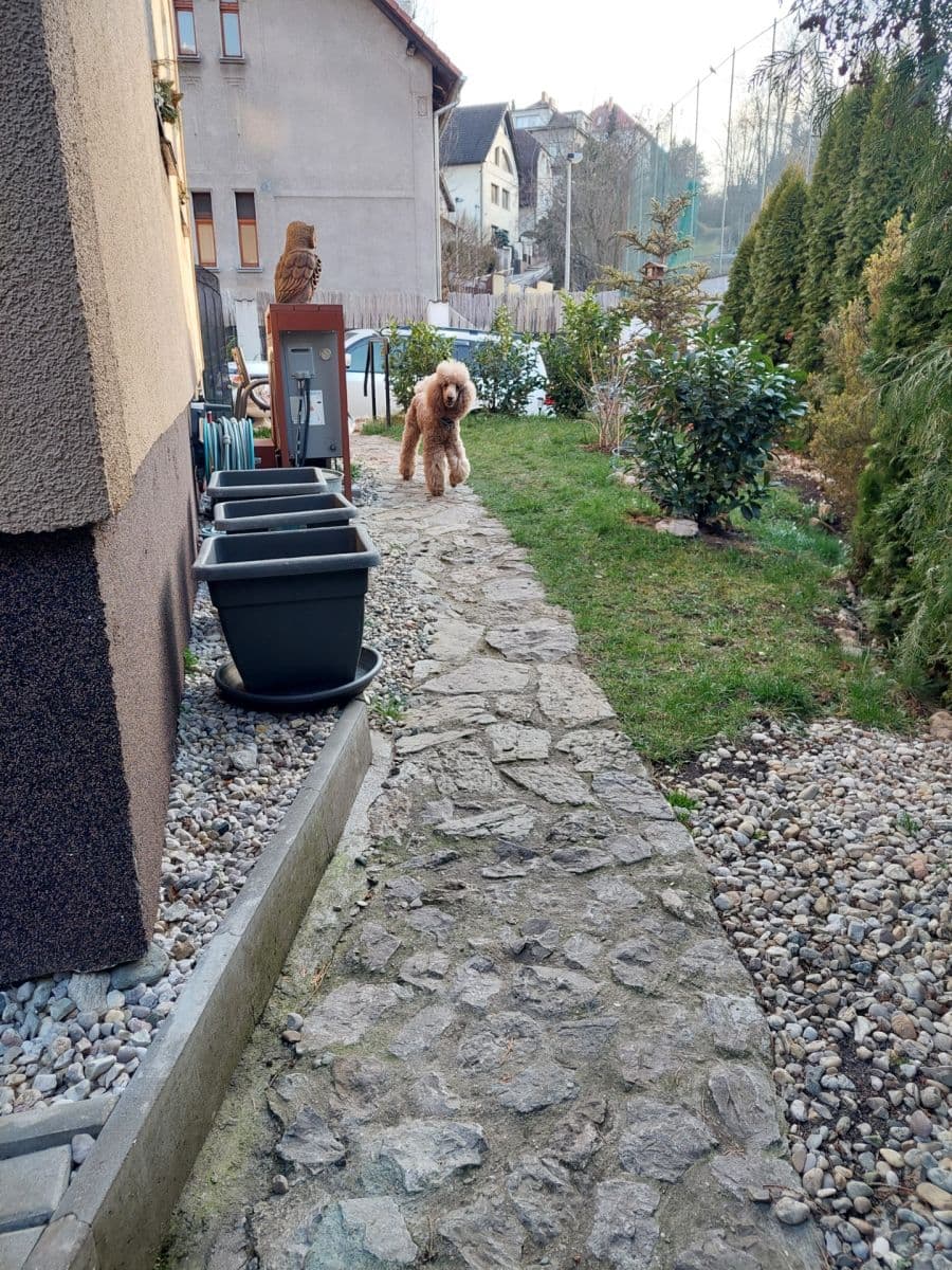 Prodej domu 250 m², pozemek 600 m², Pod Žvahovem, Praha, Praha Prodej domu 250 m², pozemek 600 m², Pod Žvahovem, Praha, Praha